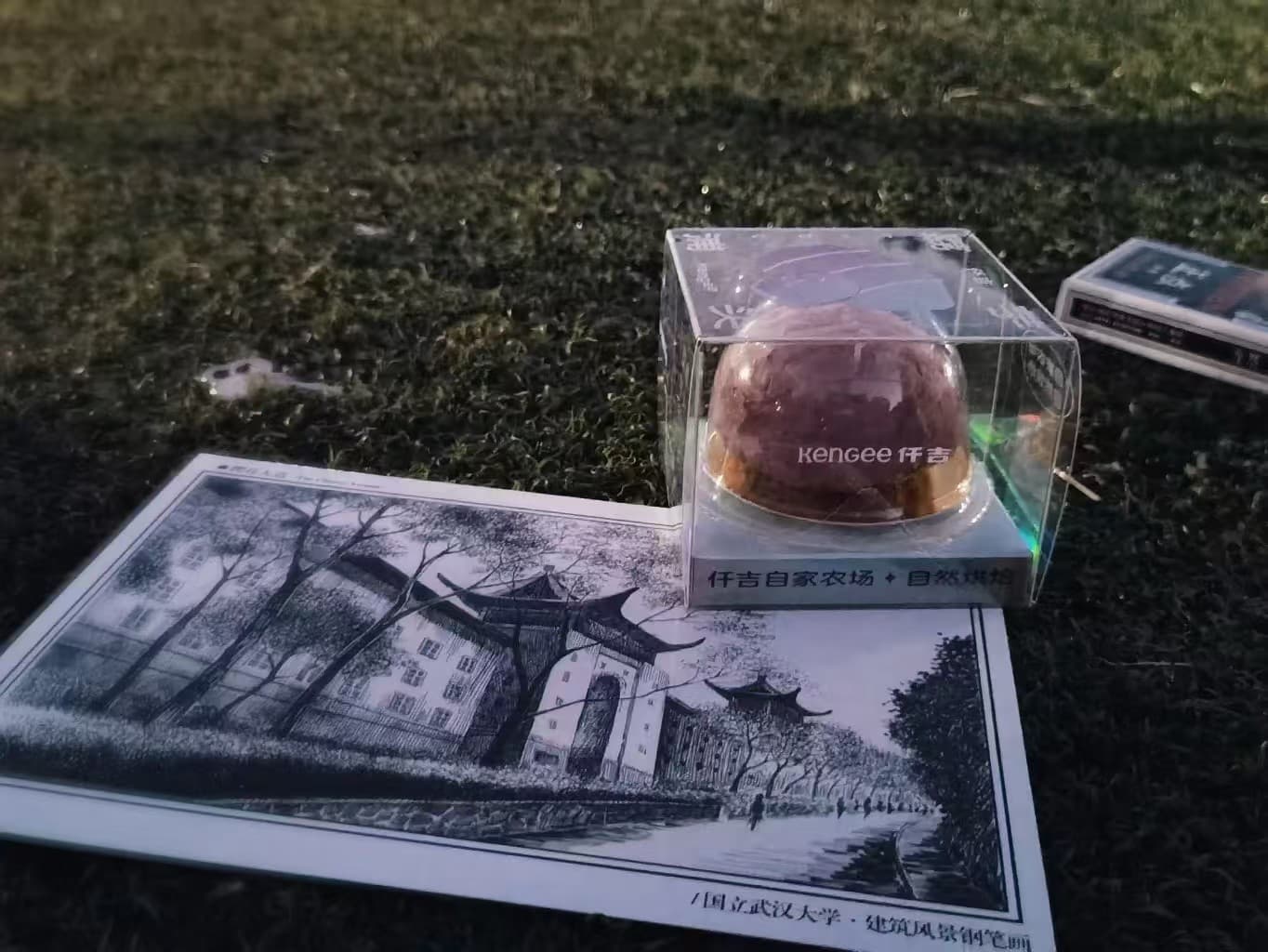 Enrolled at Wuhan University.